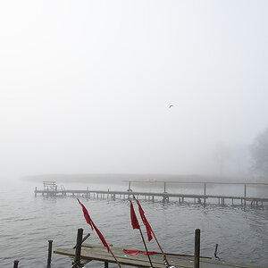 nebel1