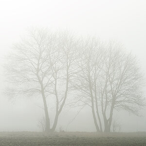 nebel4