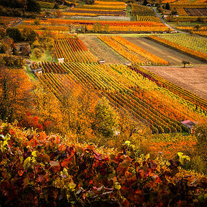 Autumn_01