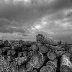 NIK 0615 6 7 tonemapped sw ps www