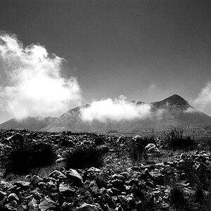 sw berg