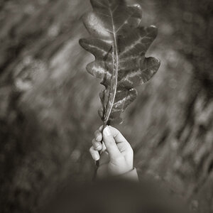 20121111 DSC 8246