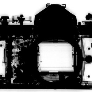 Nikon FE2 Röntgenaufnahme