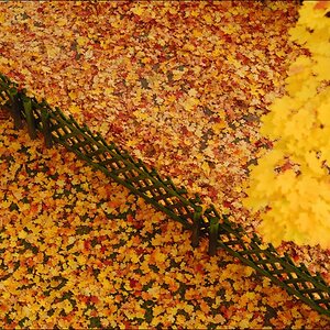 12 10 20Friedenaul Herbst 002