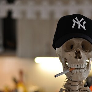 NYC Skull