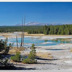 #23 Norris Geyser Basin