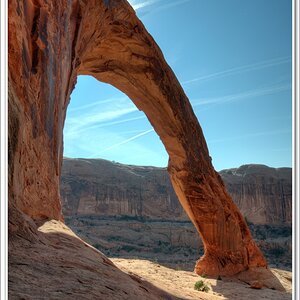 #41 Corona Arch