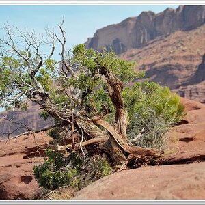 #53 nahe Moab