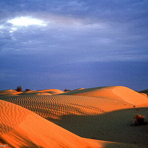 20121105  Algerien 015