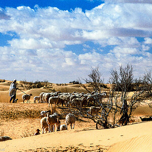 20121105  Algerien 019