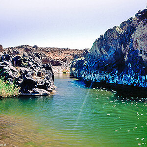 20121105  Algerien 006