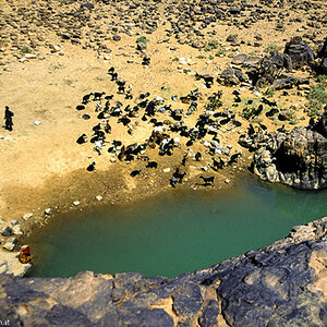 20121105  Algerien 026