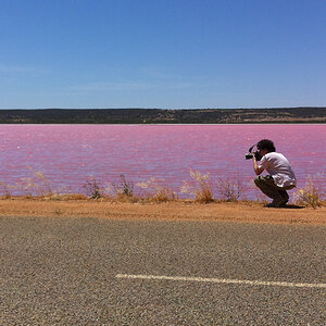 making of pink