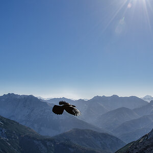 flugshow 2