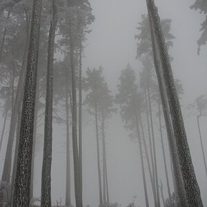 comp IMG 1696