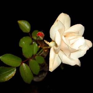 PICT0060
