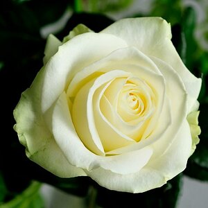 DSC3933