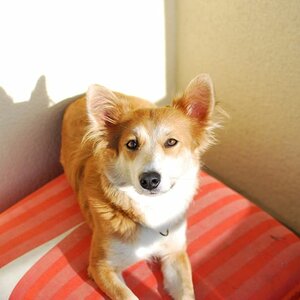 testbild3
