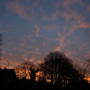 DSC 08461656DSC 0846