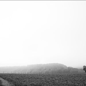 20mmDSC 7524