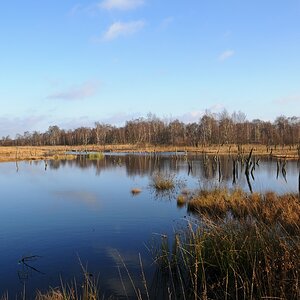 Wittmoor 2012