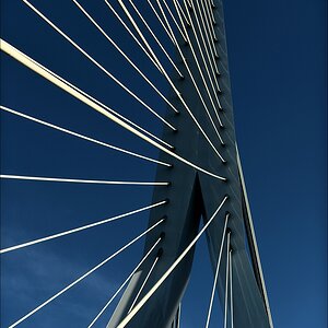 aacomp rotterdam 20121202 0228