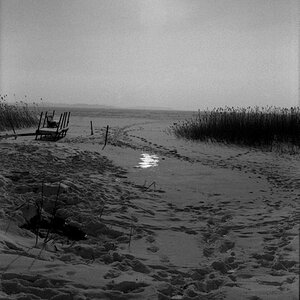 plusXPan125 012web