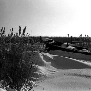 plusXPan125 008web