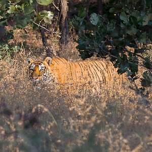 20121111 Rajasthan 0193