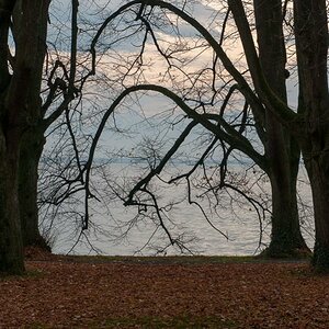 20121110 Lindenhofpark Bad Schachen 004