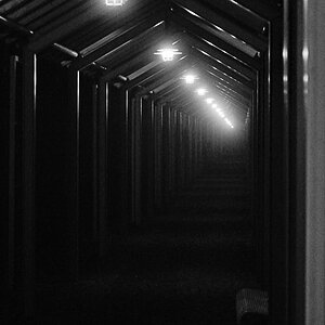 follow the light 2