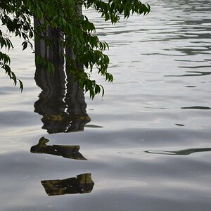 Spiegelung