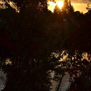 Herbstabendsonne