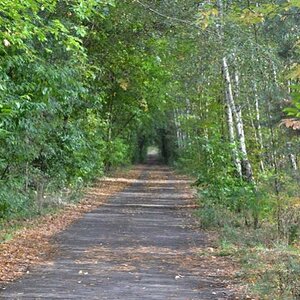 Herbstspaziergang