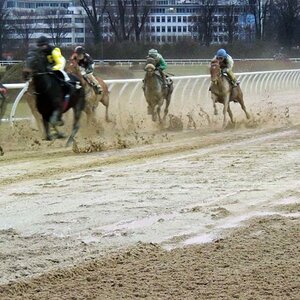 DSCN0477a