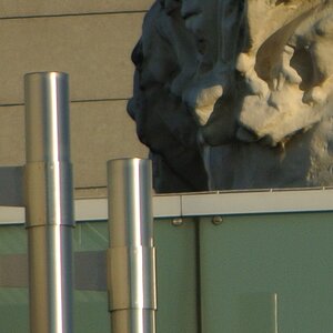 neues 55-300 an V1 @300mm