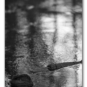 dof sw