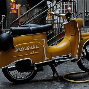 Berlin, Rosenthaler Str. - 09/2012 - Moped
