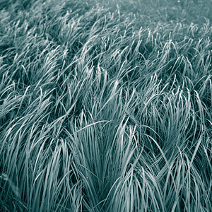 20121118 image001