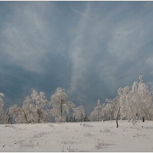 Winterimpression