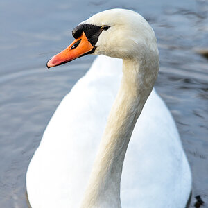 Körperportrait