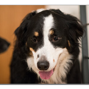 lucy2
