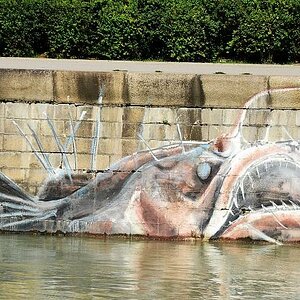 fish