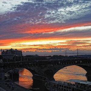 DSC3522 NFF