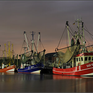 dorum02