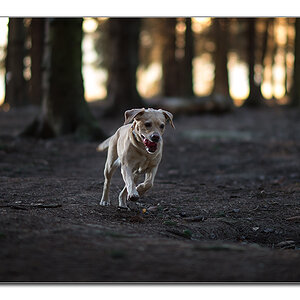 kalt im wald2