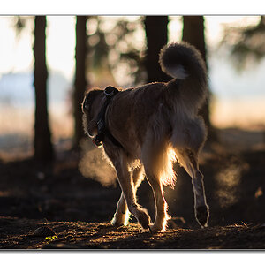kalt im wald3