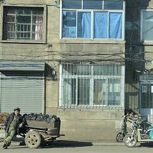 Pferdewagen
3446