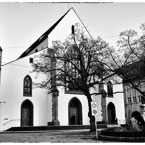BaselDSC 3054