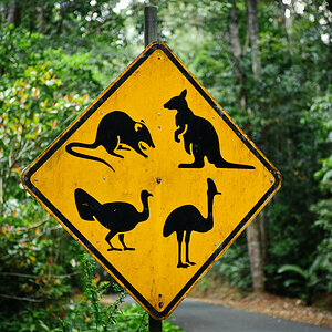 Reportage Australien 5